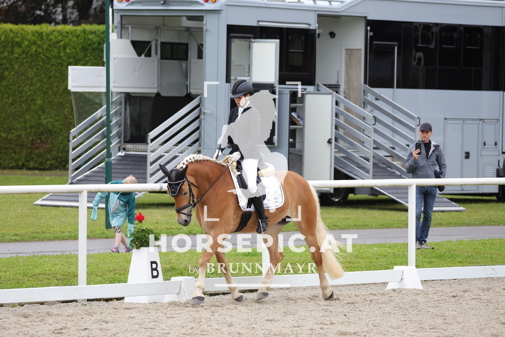 0P6A4413 | Willkommen bei Brunnmayr - Design & Fotografie – Ihrem Spezialisten für Reitturniere und Pferdeveranstaltungen in Oberösterreich, Salzburg und Bayern! Seit über 17 Jahren sind wir leidenschaftlich dabei.