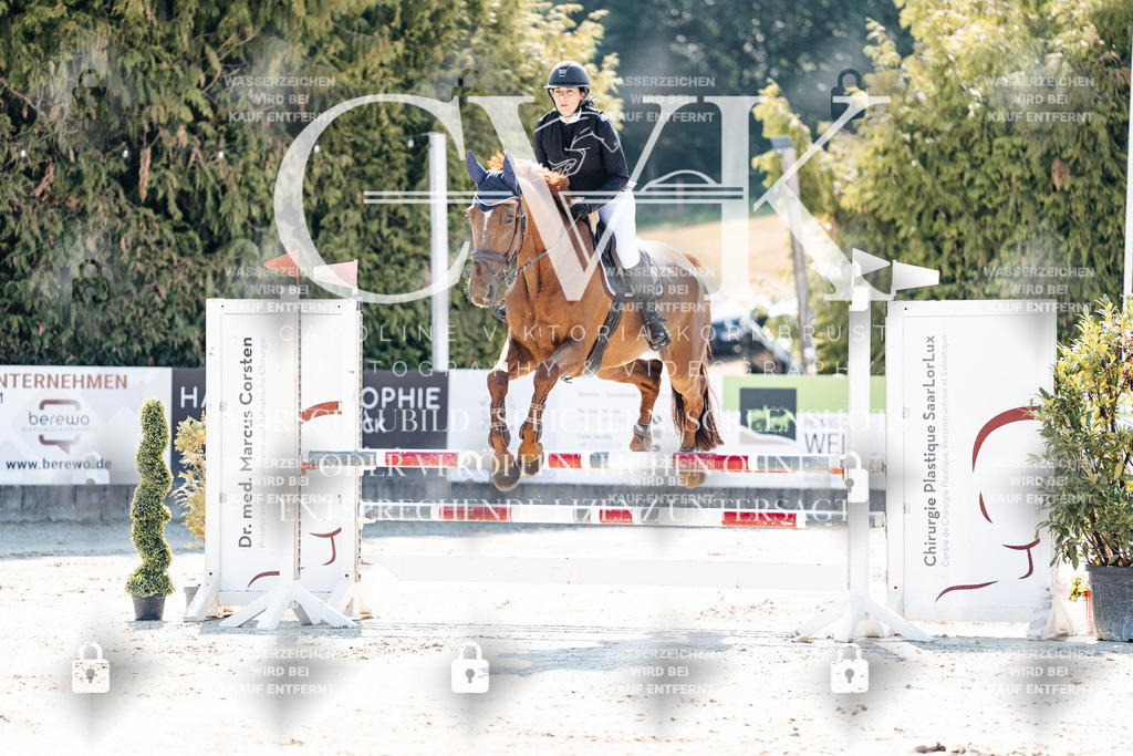 CK908407 | Turnierfotografie Pferdefotografie Trier Rheinland-Pfalz Pferdesport Reitsport Tierfotografie Sportfotografie Pferdevideo Pferdevideografie Equestrianvideography equestrianphotography  - Realisiert mit Pictrs.com