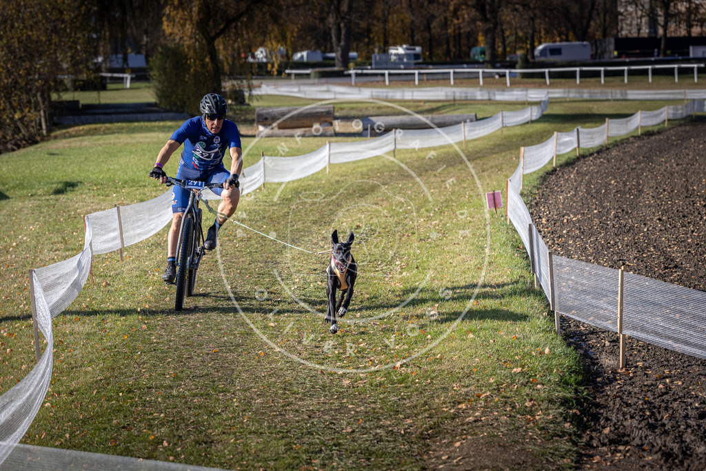 CaniXpix_DV3A5821 | Hundefotografie, Tierfotograf, Pfotenfotografie, Fotoshooting Hund, Hunde Portrait, Hundesport, Hundeportraits, Heideshooting, Hunde, Sportfotograf, Hundefotograf, Turnierhundsport, THS,  - Realisiert mit Pictrs.com