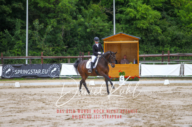 DKP46832 | Turniersportfotografie; Pferdefotografie; Dressurfotografie