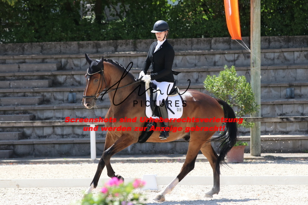 IMG_4897 | lmwpictures - Realisiert mit Pictrs.com