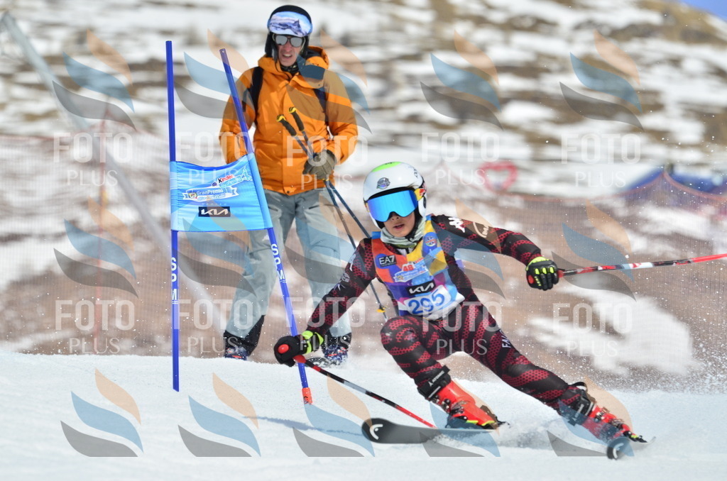 _ELE2111 | holidayphoto