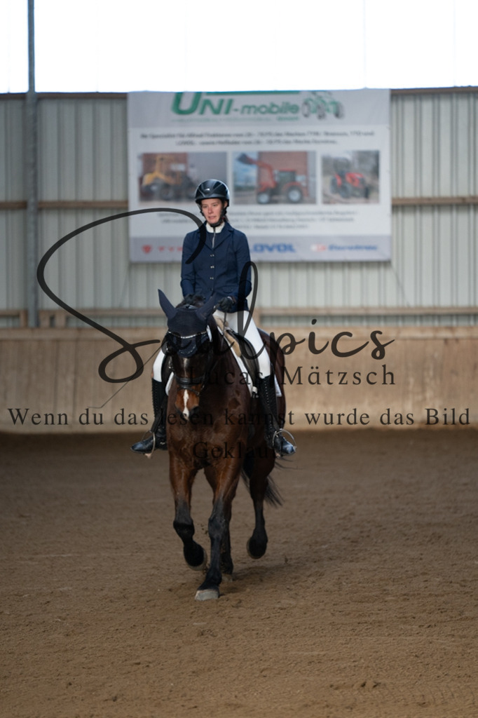 A7V05667 | Pferdefotograf