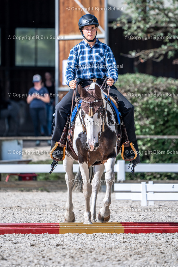 HOB08485 | BS-foto