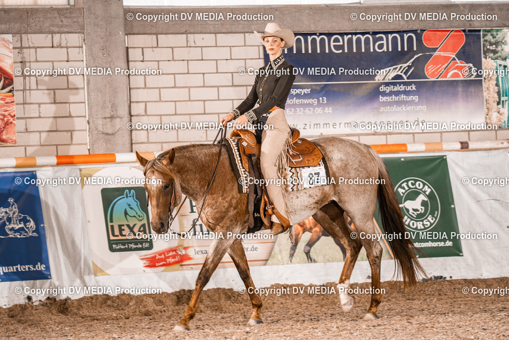 ZH100155 | dv-media-shop - Realisiert mit Pictrs.com