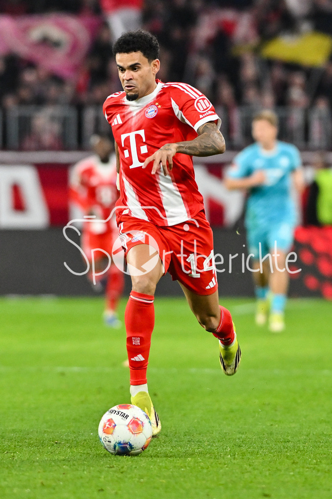 FC Bayern München - TSG 1899 Hoffenheim | MUNICH, GERMANY - 08. FEBRUARY: im Bild Luis DIAZ (FC Bayern Munich 14) / Einzelfoto / Freisteller während dem Bundesligamatch zwischen dem FC Bayern München und der TSG 1899 Hoffenheim am 21. Spieltag in der Allianz Arena / DFL REGULATIONS PROHIBIT ANY USE OF PHOTOGRAPHS AS IMAGE SEQUENCES AND/OR QUASI-VIDEO