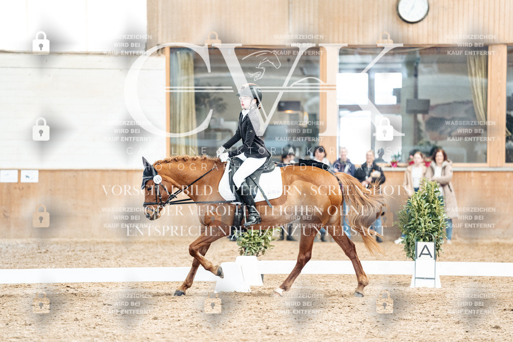 CK900239 | Turnierfotografie Pferdefotografie Trier Rheinland-Pfalz Pferdesport Reitsport Tierfotografie Sportfotografie Pferdevideo Pferdevideografie Equestrianvideography equestrianphotography  - Realisiert mit Pictrs.com