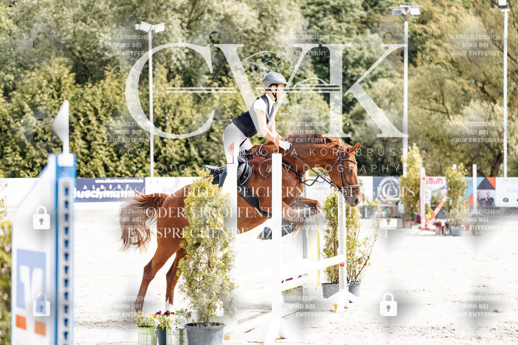 CK906379 | Turnierfotografie Pferdefotografie Trier Rheinland-Pfalz Pferdesport Reitsport Tierfotografie Sportfotografie Pferdevideo Pferdevideografie Equestrianvideography equestrianphotography  - Realisiert mit Pictrs.com