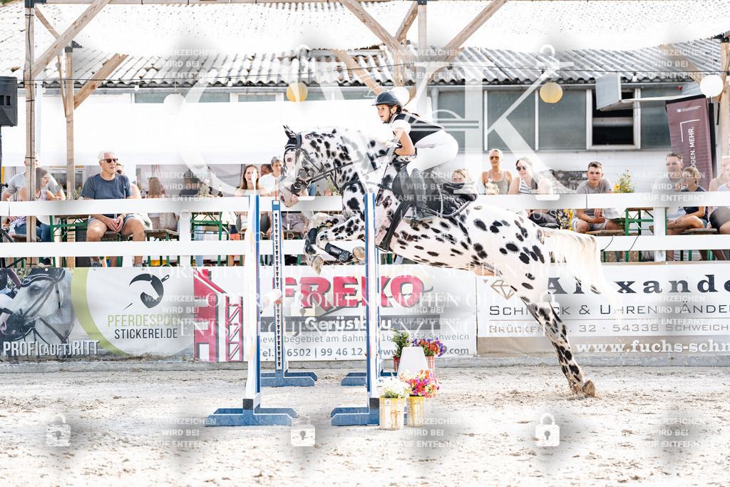 CK905972 | Turnierfotografie Pferdefotografie Trier Rheinland-Pfalz Pferdesport Reitsport Tierfotografie Sportfotografie Pferdevideo Pferdevideografie Equestrianvideography equestrianphotography  - Realisiert mit Pictrs.com
