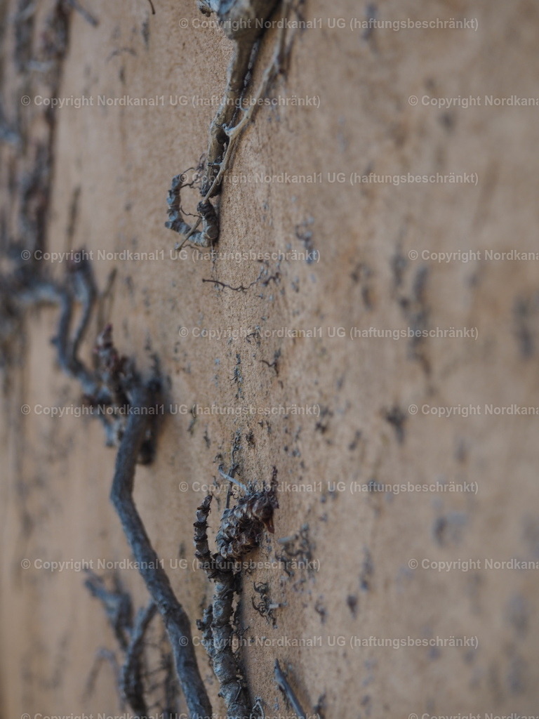 IMG_2872 | OLYMPUS DIGITAL CAMERA          - Realisiert mit Pictrs.com