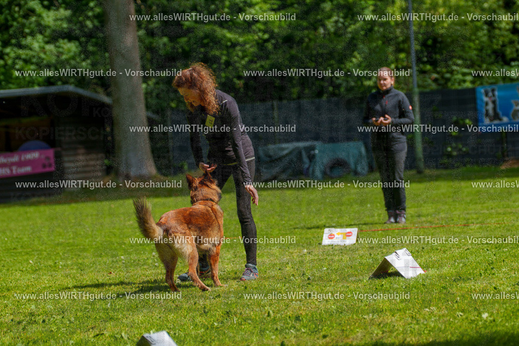 @allesWIRTHgut_Tierfotografie - www.allesWIRTHgut.de - 7R503694 | Professionelle Tierfotografie in Mönchengladbach von Daniel Wirth (allesWIRTHgut). Liebevolle & natürliche Bilder von Hunden & Katzen für unvergessliche Erinnerungen.