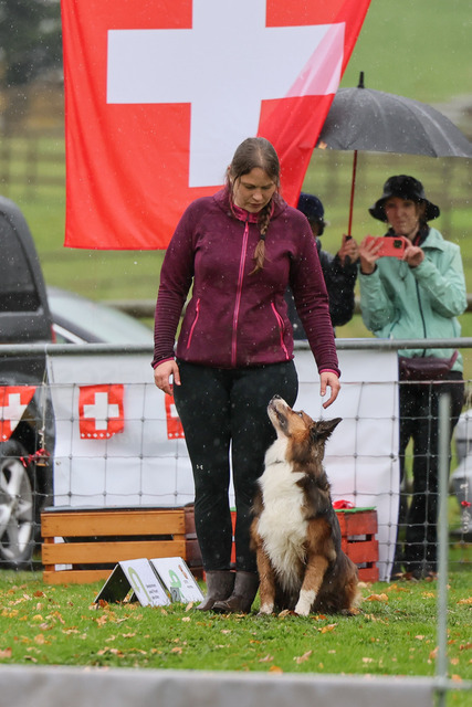 2025_Rally_Obedience_SM-174 | Ich fotografiere Hundeausstellungen, Sportanlässe, Zuchtstätten, Hundezucht, Hundeportrait, Lagotto - Realisiert mit Pictrs.com