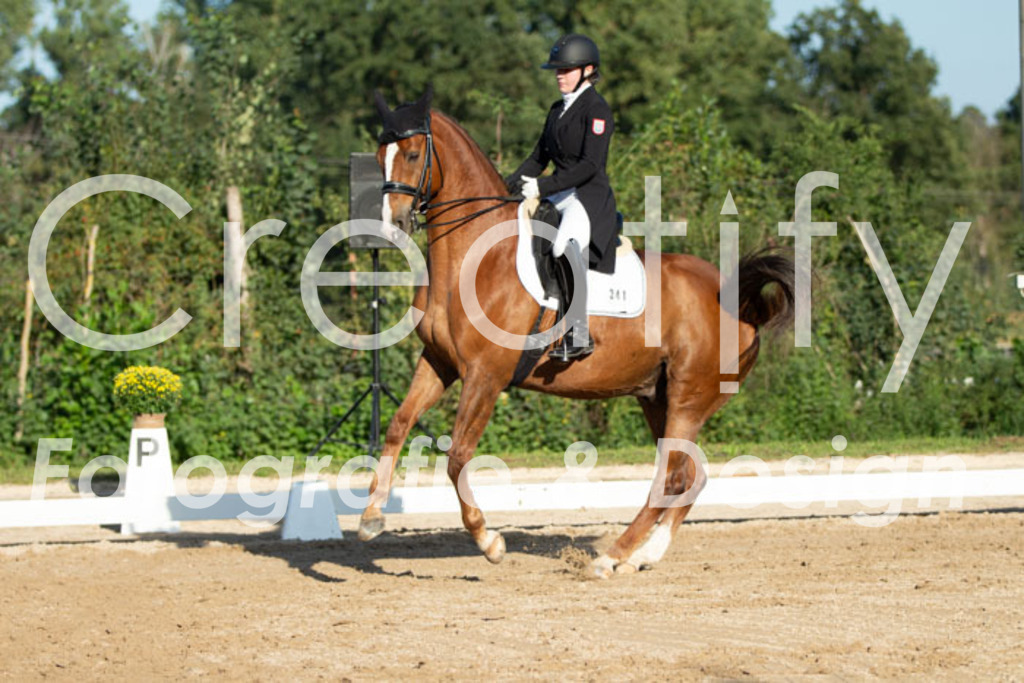 IMG_5905 | Creatify Fotografie