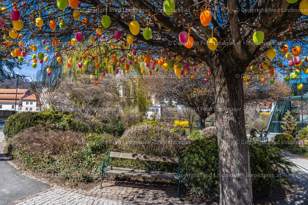 Frohnleiten Ostern Osterdeko 2022-5944 | Fotos und Fotoprodukte - Realisiert mit Pictrs.com