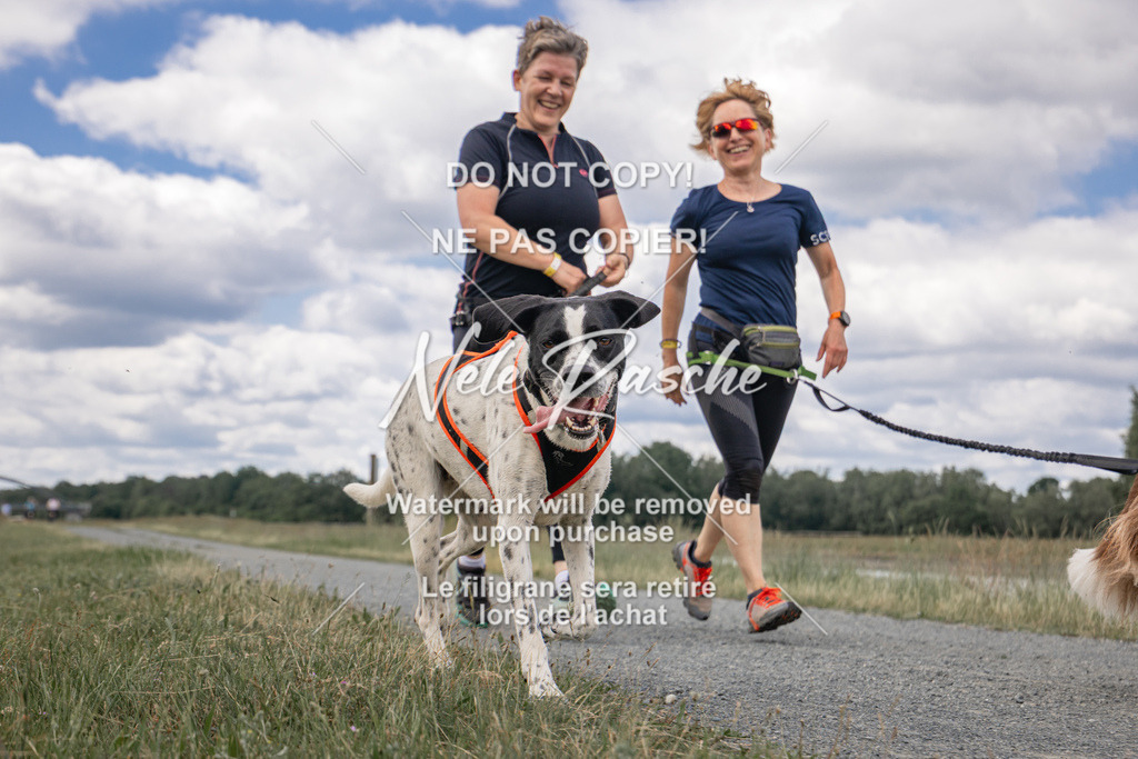 nelerasche_BuHu2026_SaCC1100-1200_157 | nelerasche