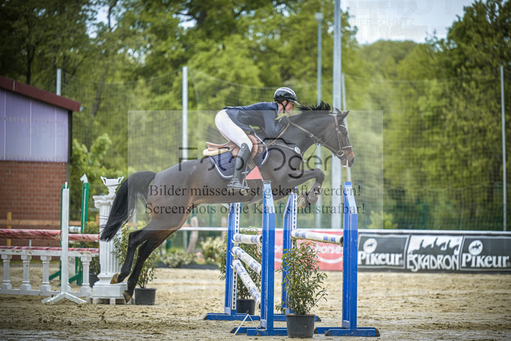 DOS_6578 | Entdecke hochwertige Reitturnierfotos von Foto Oger. Professionell, emotional und authentisch – jetzt Lieblingsmomente im Shop bestellen.Deutschlandweite Turnierfotografie. - Realisiert mit Pictrs.com
