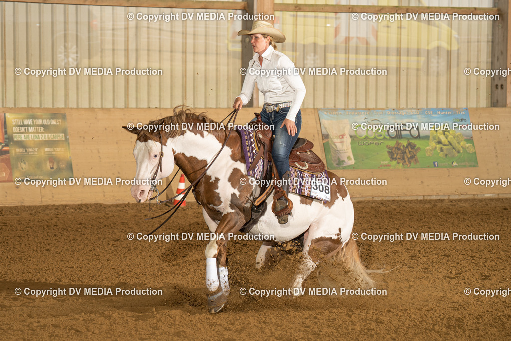 LAU00474 | dv-media-shop - Realisiert mit Pictrs.com