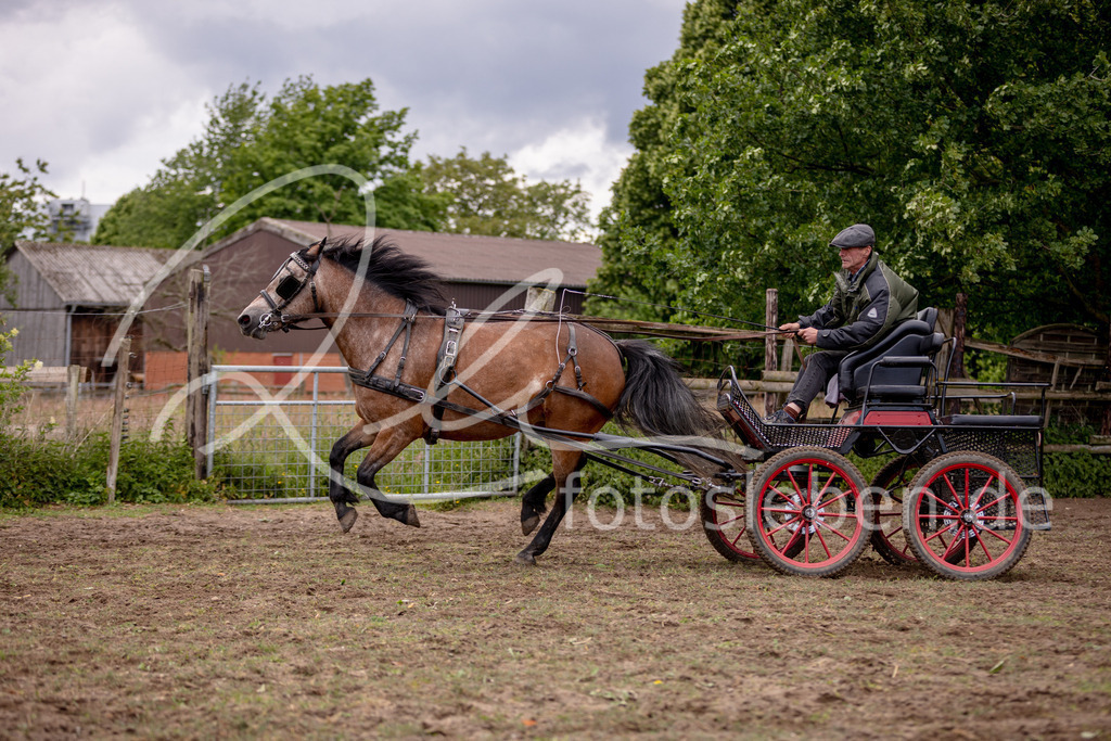 846A0713 | fotosleben - Realisiert mit Pictrs.com