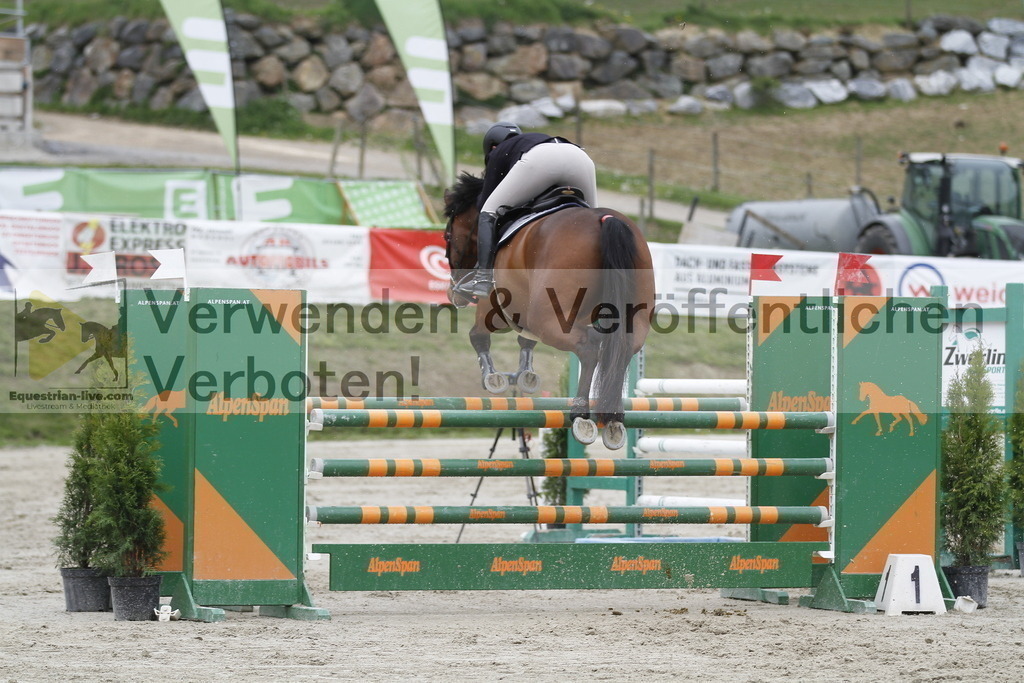 _MG_2988 | equestrian-live-com