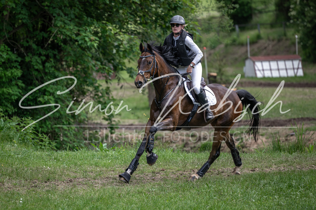 20260523-_3LI9721 | Tierfotografie Pferde, Hunde, Katzen, Haustiere.
Turnierfotografie Reitturniere, Reiten, Springreiten, Dressur in Hanau, dem Main-Kinzig-Kreis und dem Rhein-Main- Gebiet um Frankfurt