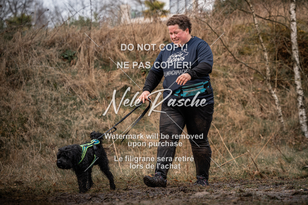 nelerasche_1330-1400_62 | nelerasche