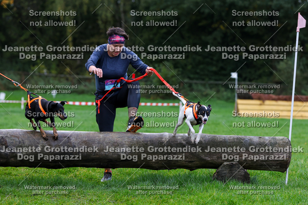 Dog Paparazzi -  SD1026-1339 | Dog Paparazzi Jeanette Grottendiek Fotografie & Videografie - Realisiert mit Pictrs.com