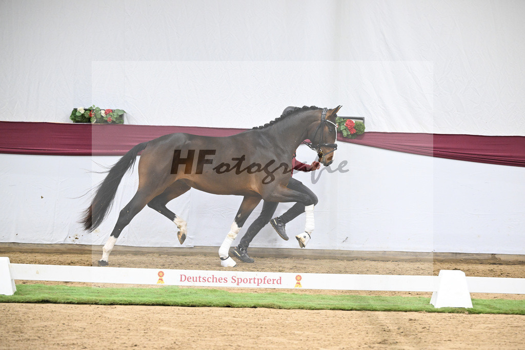 Kat-Nr. 124 Global Player x Floriscount_Christian Wittlinger_47254136 | hf-fotografie - Realisiert mit Pictrs.com