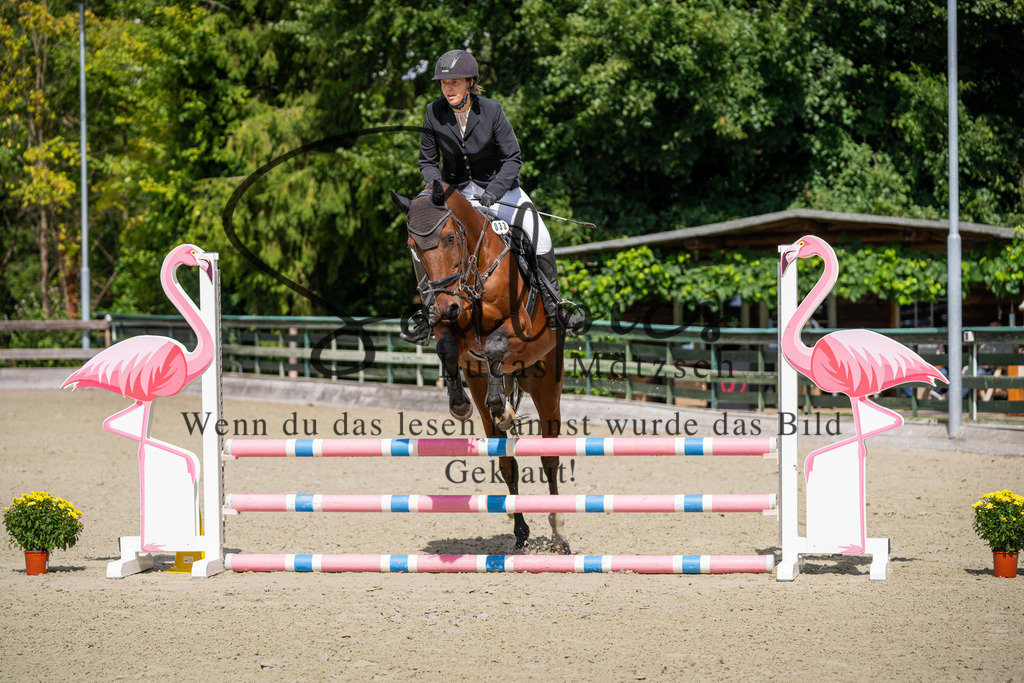 A7V07329 | Turnier/Reitfotograf