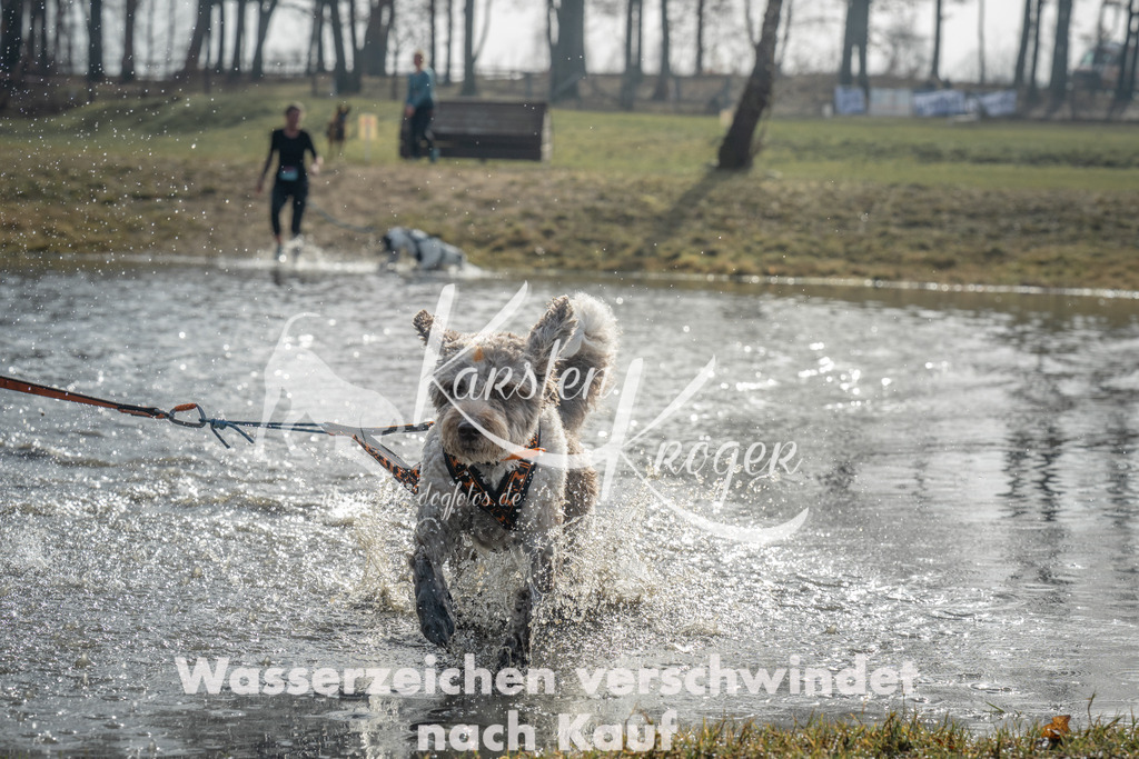 1028_ZZ97692 | kk-dogfotos