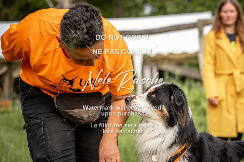 nelerasche_So-earlydog_61 | nelerasche