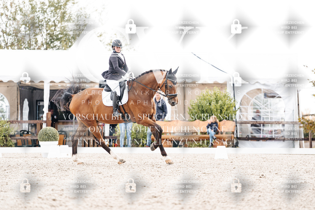 CK900791 | Turnierfotografie Pferdefotografie Trier Rheinland-Pfalz Pferdesport Reitsport Tierfotografie Sportfotografie Pferdevideo Pferdevideografie Equestrianvideography equestrianphotography  - Realisiert mit Pictrs.com