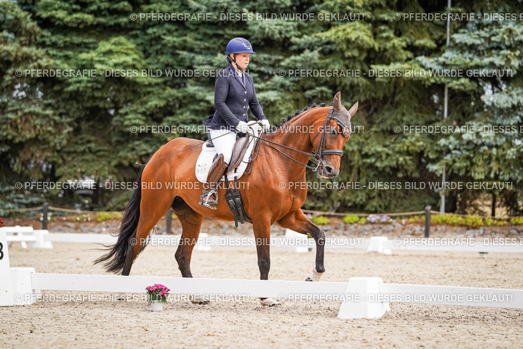 DSC03186 | Pferdegrafie