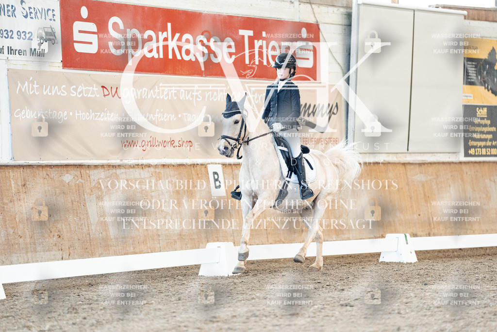 CK907547 | Turnierfotografie Pferdefotografie Trier Rheinland-Pfalz Pferdesport Reitsport Tierfotografie Sportfotografie Pferdevideo Pferdevideografie Equestrianvideography equestrianphotography  - Realisiert mit Pictrs.com