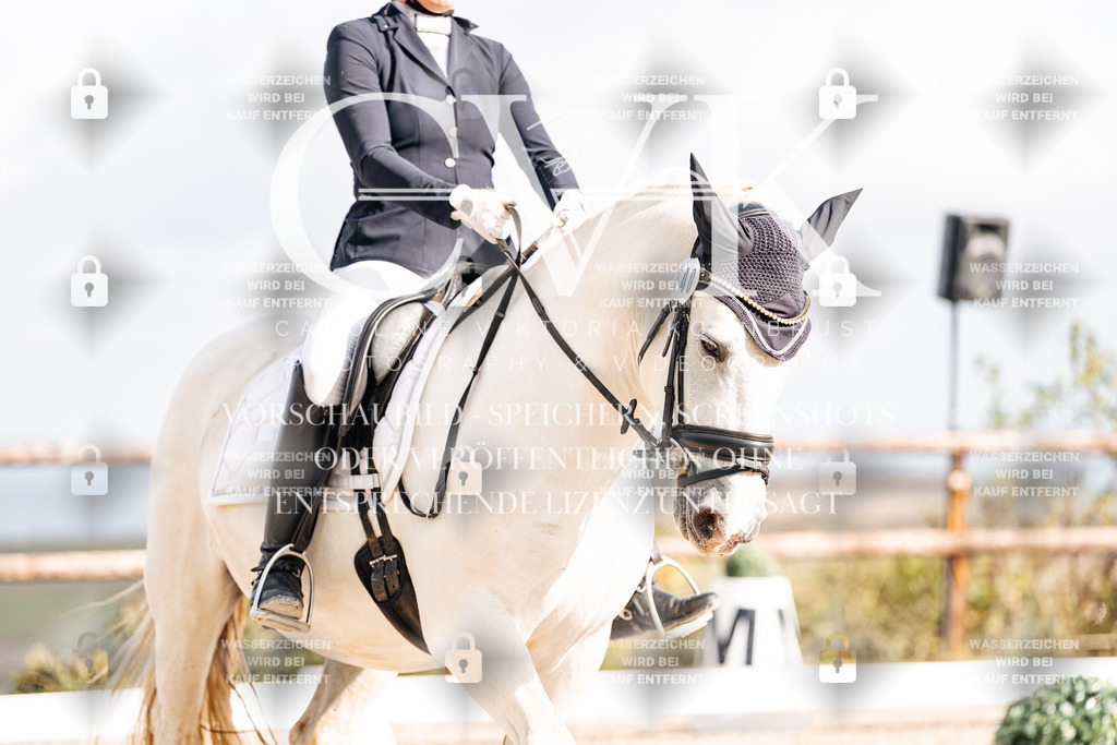CK901540 | Turnierfotografie Pferdefotografie Trier Rheinland-Pfalz Pferdesport Reitsport Tierfotografie Sportfotografie Pferdevideo Pferdevideografie Equestrianvideography equestrianphotography  - Realisiert mit Pictrs.com