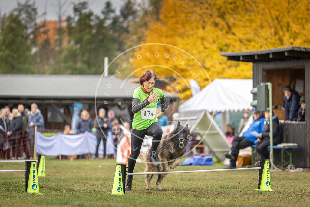 Pfotenfotografie_DV3A5496 | Hundefotografie, Tierfotograf, Pfotenfotografie, Fotoshooting Hund, Hunde Portrait, Hundesport, Hundeportraits, Heideshooting, Hunde, Sportfotograf, Hundefotograf, Turnierhundsport, THS,  - Realisiert mit Pictrs.com