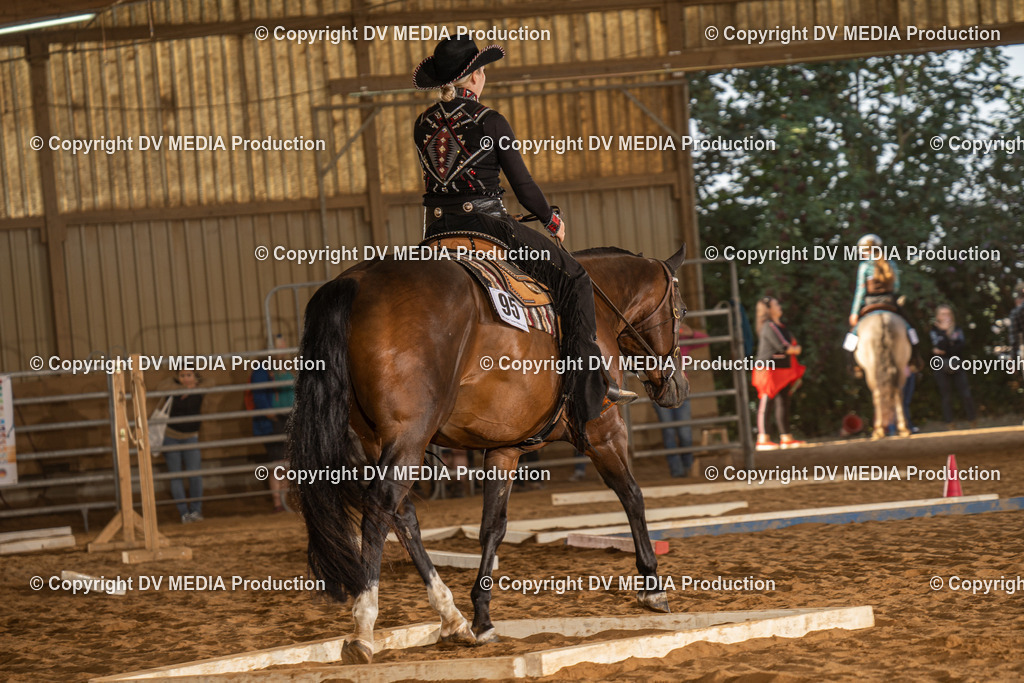 NID02566 | dv-media-shop - Realisiert mit Pictrs.com