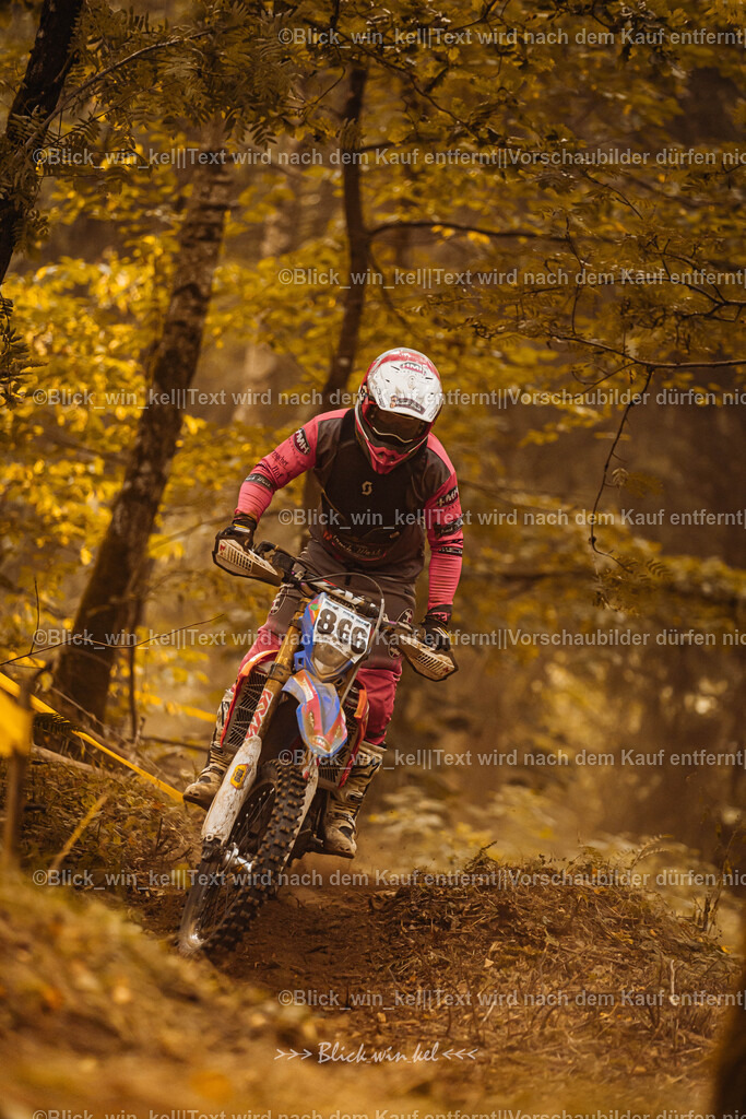 E68A3966 | blick_win_kel