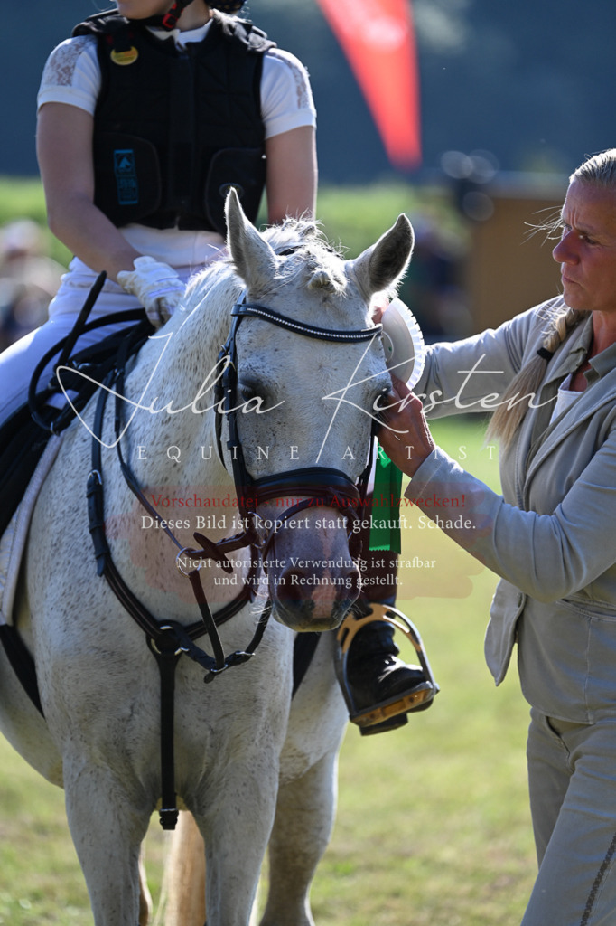 DSC_5376 | Pferde- und Turnierfotografie in Westsachsen. Pferdeportraits, Auftragszeichnungen und intuitive Kunst.