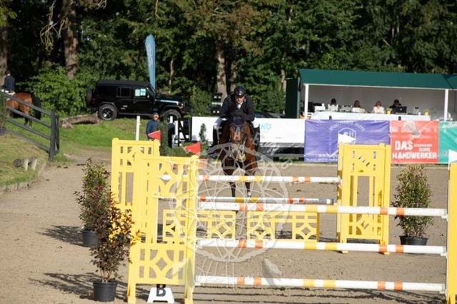 2B4A1034 | pixelfaenger - Realisiert mit Pictrs.com