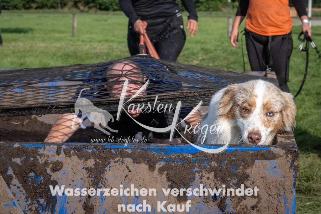 1641_ZZ92788 | kk-dogfotos