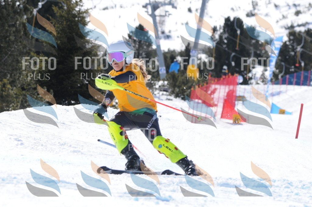 C9237 | holidayphoto