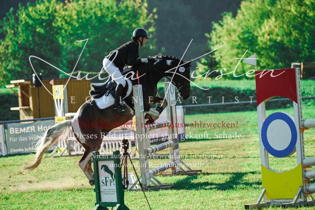 DSC_4483 | Pferde- und Turnierfotografie in Westsachsen. Pferdeportraits, Auftragszeichnungen und intuitive Kunst.