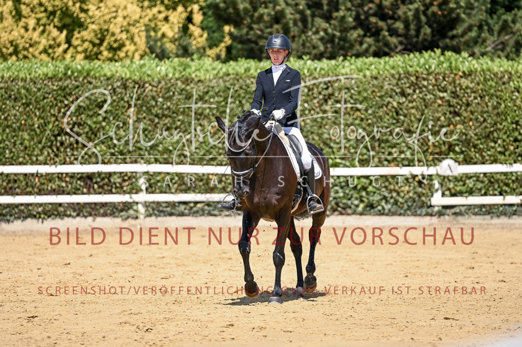 Schugtsche-Aluta25-49.Dressurpferdeprf.A-279 | Schugtsche Fotografie - Realisiert mit Pictrs.com