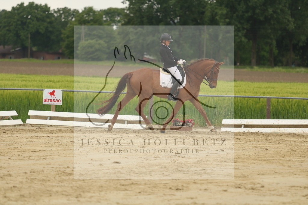 IMG_7474 | jessicahollubetz_pferdephotographie - Realisiert mit Pictrs.com