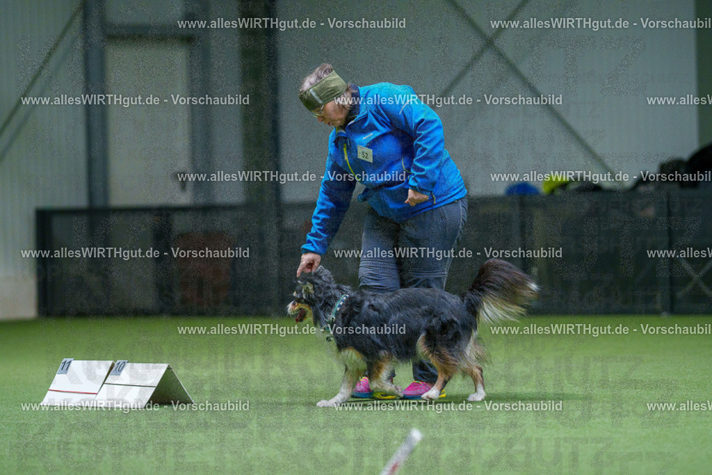 7R506474 | Professionelle Tierfotografie in Mönchengladbach von Daniel Wirth (allesWIRTHgut). Liebevolle & natürliche Bilder von Hunden & Katzen für unvergessliche Erinnerungen.