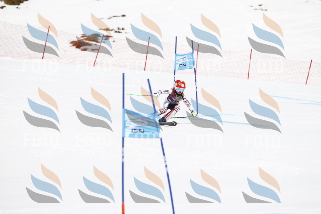 _U3G5217 | holidayphoto