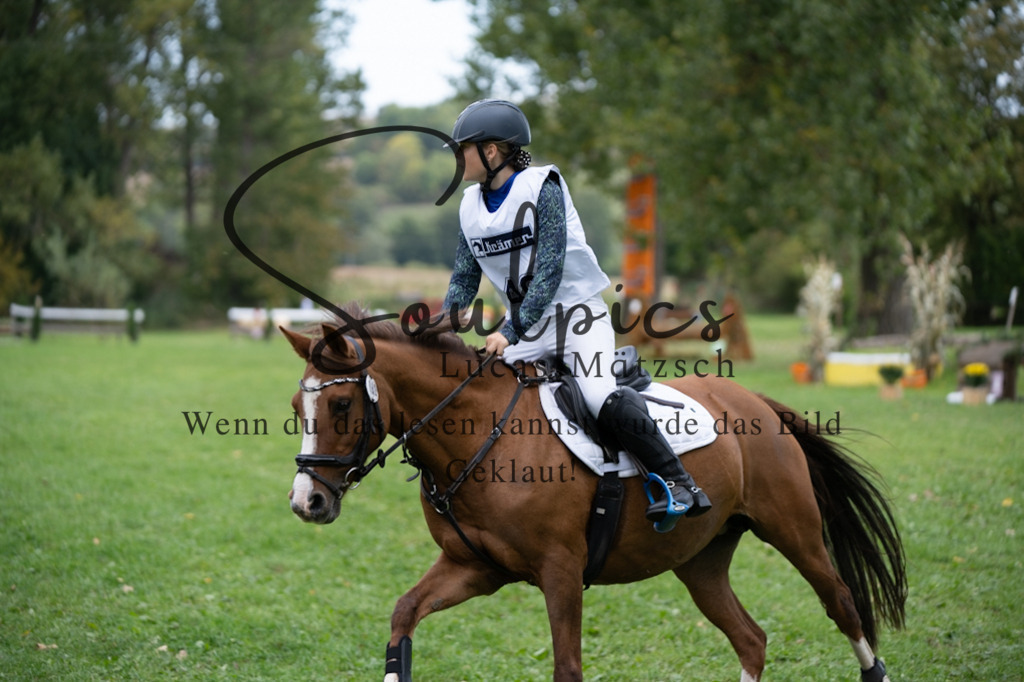 A7V03589 | Pferdefotograf