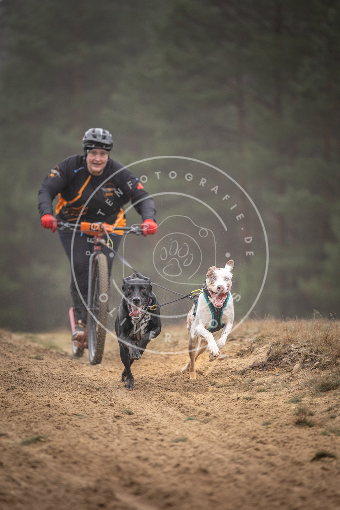 Pfotenfotografie_DV3A1060 | Hundefotografie, Tierfotograf, Pfotenfotografie, Fotoshooting Hund, Hunde Portrait, Hundesport, Hundeportraits, Heideshooting, Hunde, Sportfotograf, Hundefotograf, Turnierhundsport, THS,  - Realisiert mit Pictrs.com