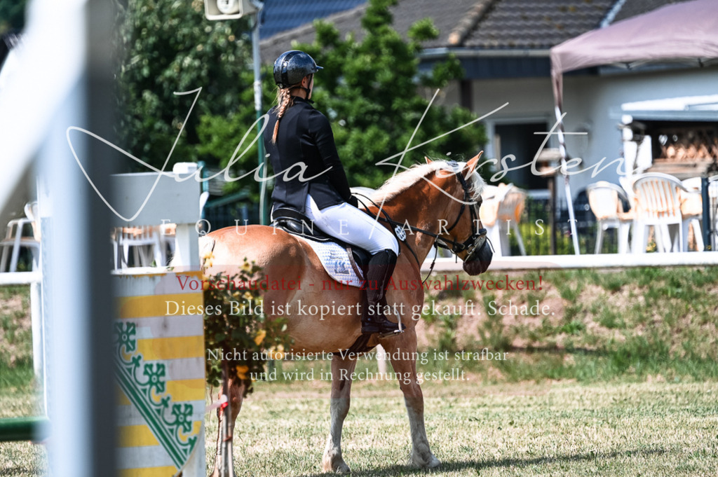 DSC_8729 | Pferde- und Turnierfotografie in Westsachsen. Pferdeportraits, Auftragszeichnungen und intuitive Kunst.