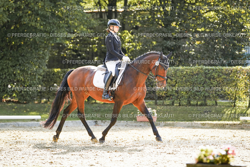 DSC07189 | Pferdegrafie